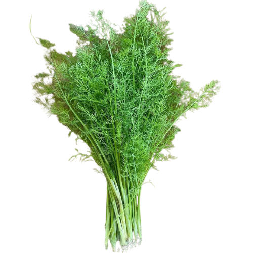 Dill Leaves Macro Organic