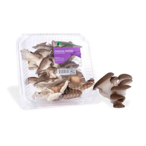 Phoenix Oyster Mushrooms 150gm Superlicious