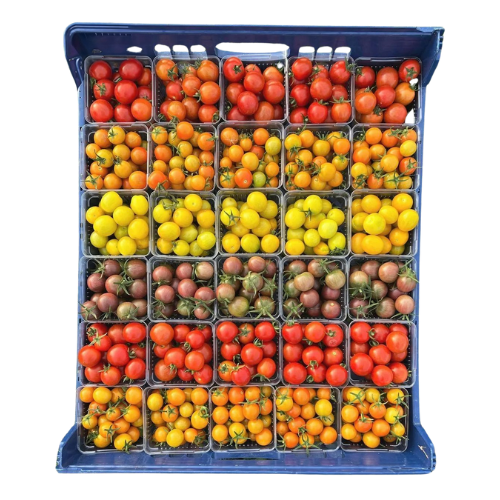 Mix Cherry Tomato Macro Organic