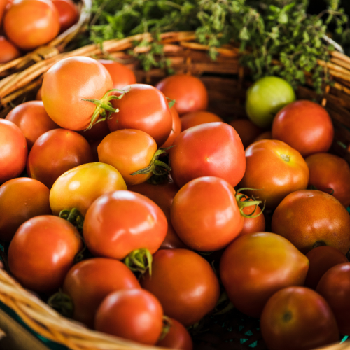 Tomatoes (Organic Fertilizer Fed) 1Kg Dilazak Farms