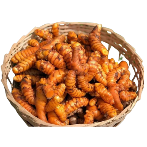 Fresh Turmeric Macro Organic