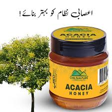 Acacia Honey 450 gm Chiltan Pure