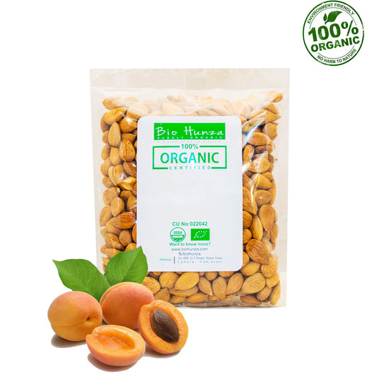 Apricot Kernel 100gm Bio Hunza