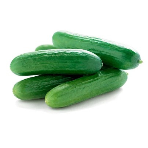 Baby Cucumber Macro Organic
