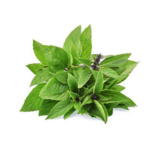 Basil Mix 50gm Macro Organic