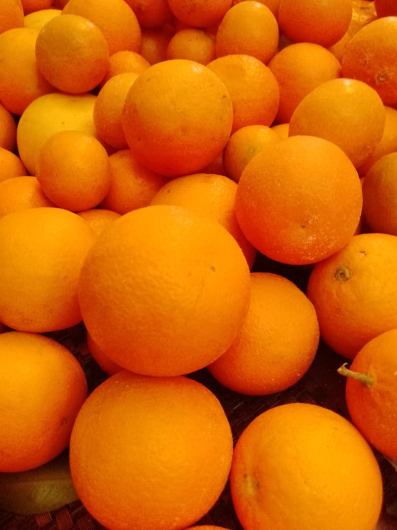 Blood Oranges Per Dozen (Seasonal) Dilazak Farms