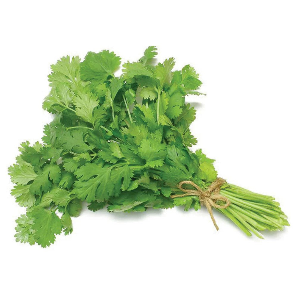 Seasonal Farm Gorwn Coriander (Grown on Organic Fertilzers) 70gm Dilazak Foods