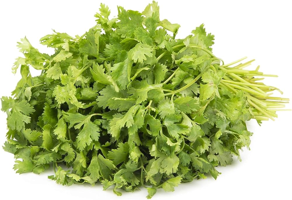 Fresh Coriander 1kg Fresh Fruits & Vegetables