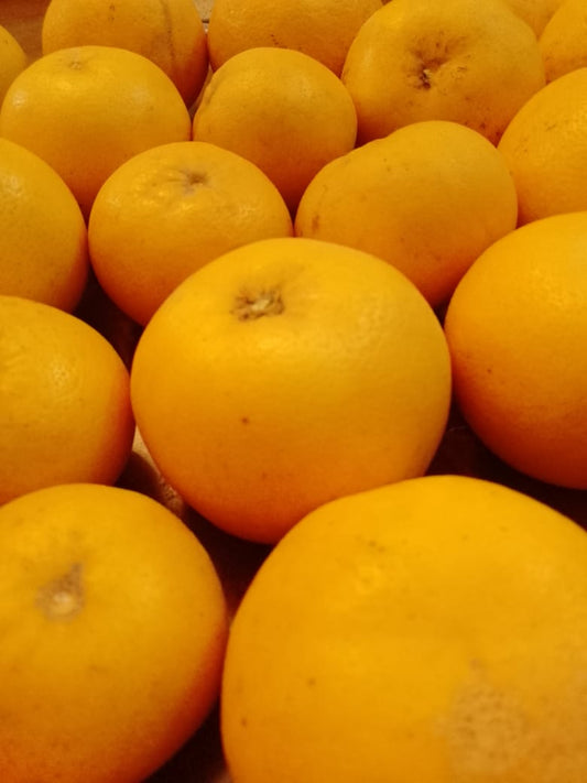 Grapefruit Per Dozen (Seasonal) Dilazak Farms