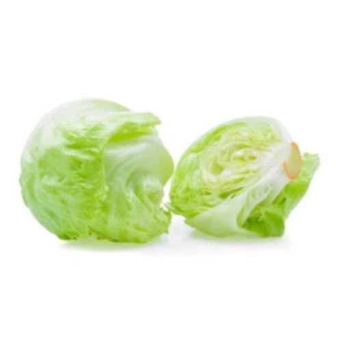 Iceberg Lettuce Macro Organic