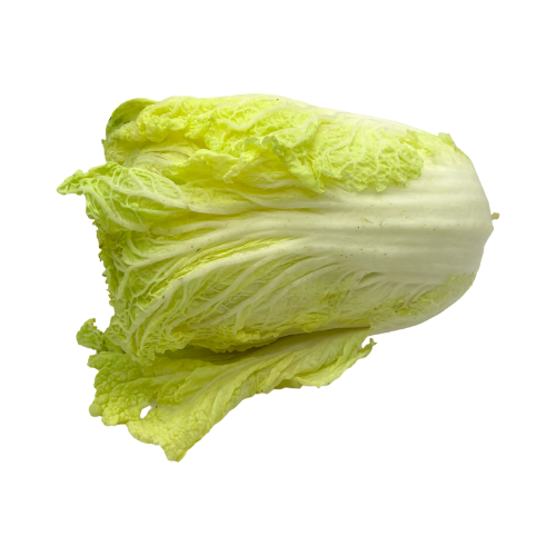 Napa Cabbage Macro Organic