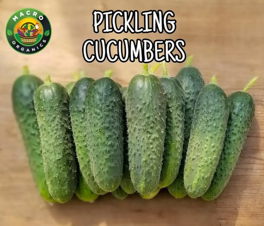 Pickling Cucumbers Macro Organic