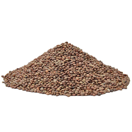 Premium Dal Sabut Masoor (Black) 500 gm Best of Akbari Mandi