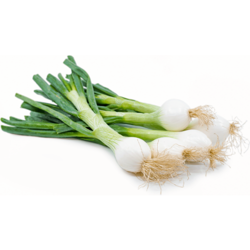 Spring Onion Macro Organic