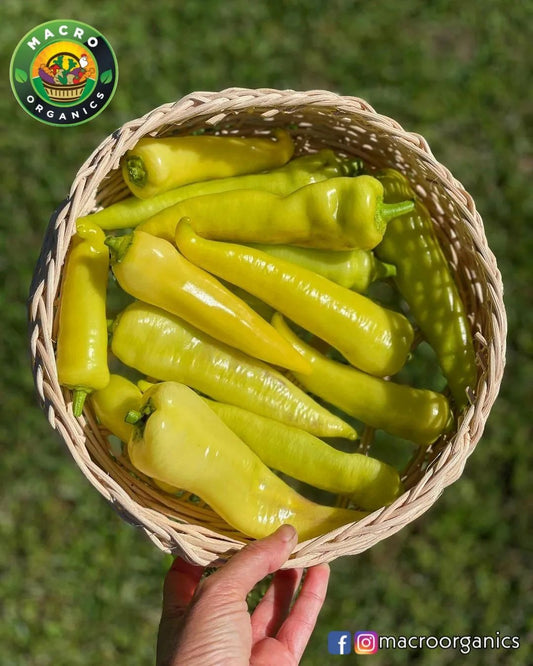 Sweet Banana Peppers Macro Organic