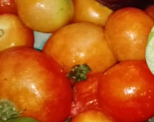 Tomatoes (Organic Fertilizer Fed) 1Kg Dilazak Farms