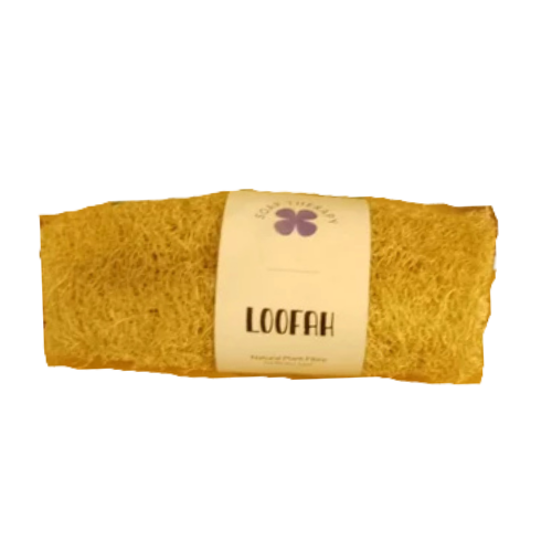 Loofah Medium Size Soap Therapy