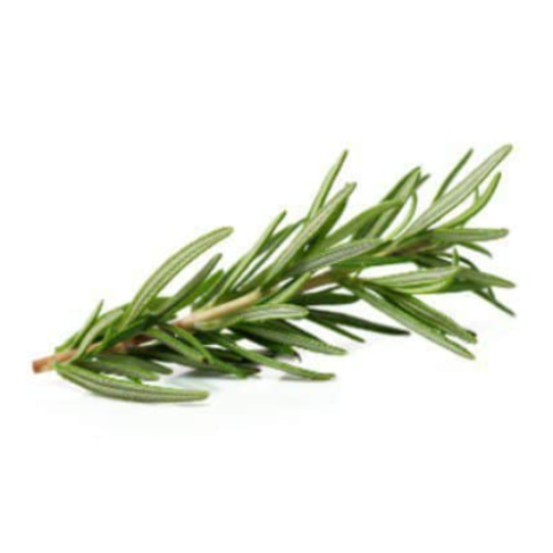 Rosemary Macro Organic