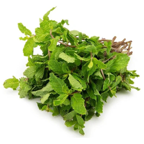 Fresh Mint 1 Pack Fresh Fruits & Vegetables