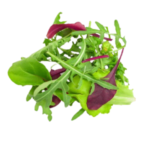 Lettuce Mix Macro Organic
