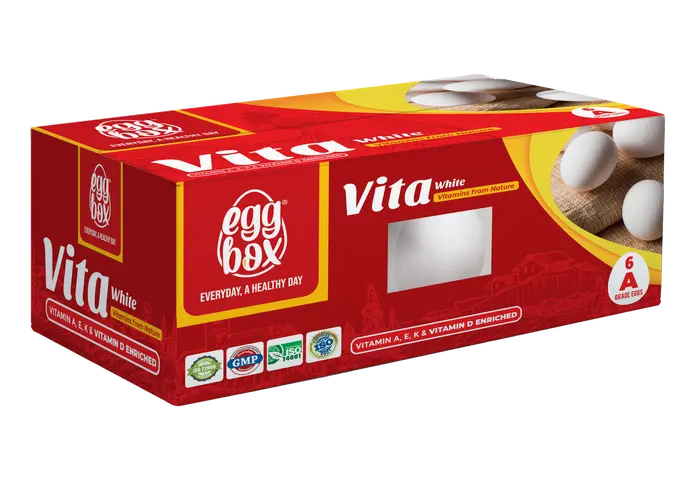 Vita White 6 pc Egg Box