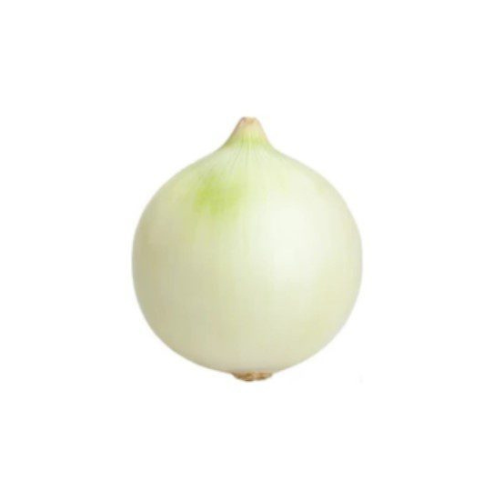 White Onion Macro Organic