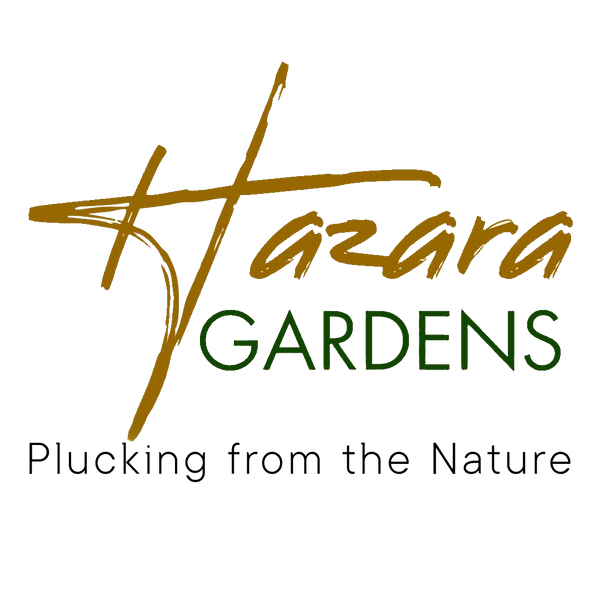 Hazara Gardens